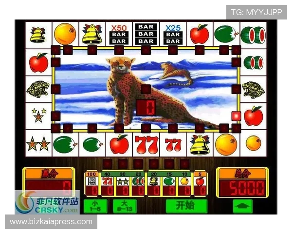 恶魔老虎机游戏解说：全面解析游戏玩法与技巧提升玩家胜率