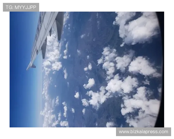 老虎机赢了之后如何合理规划奖金让你的每一次胜利都变成长远的财富积累